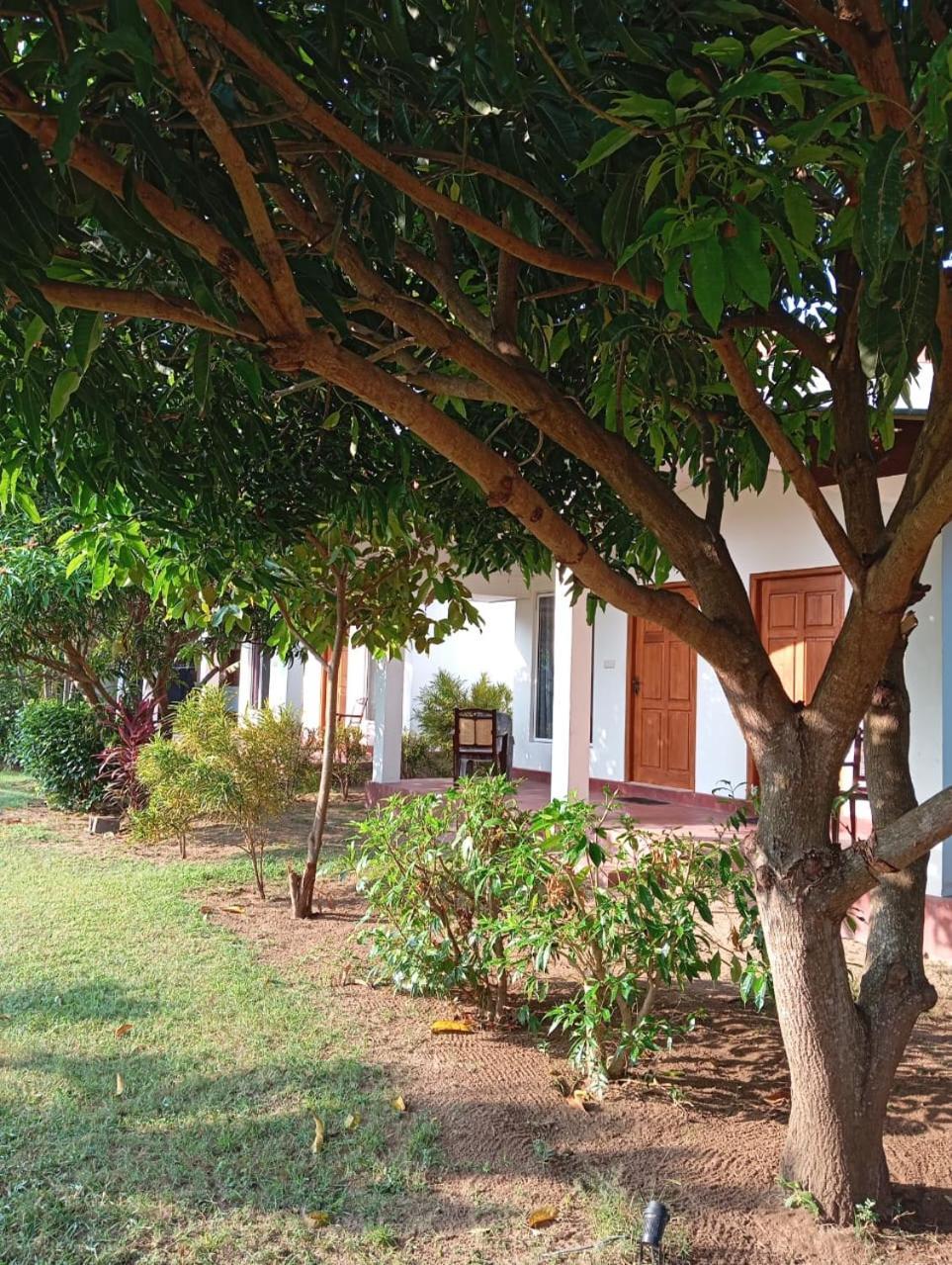 Jeys Place Nilaveli Exterior photo