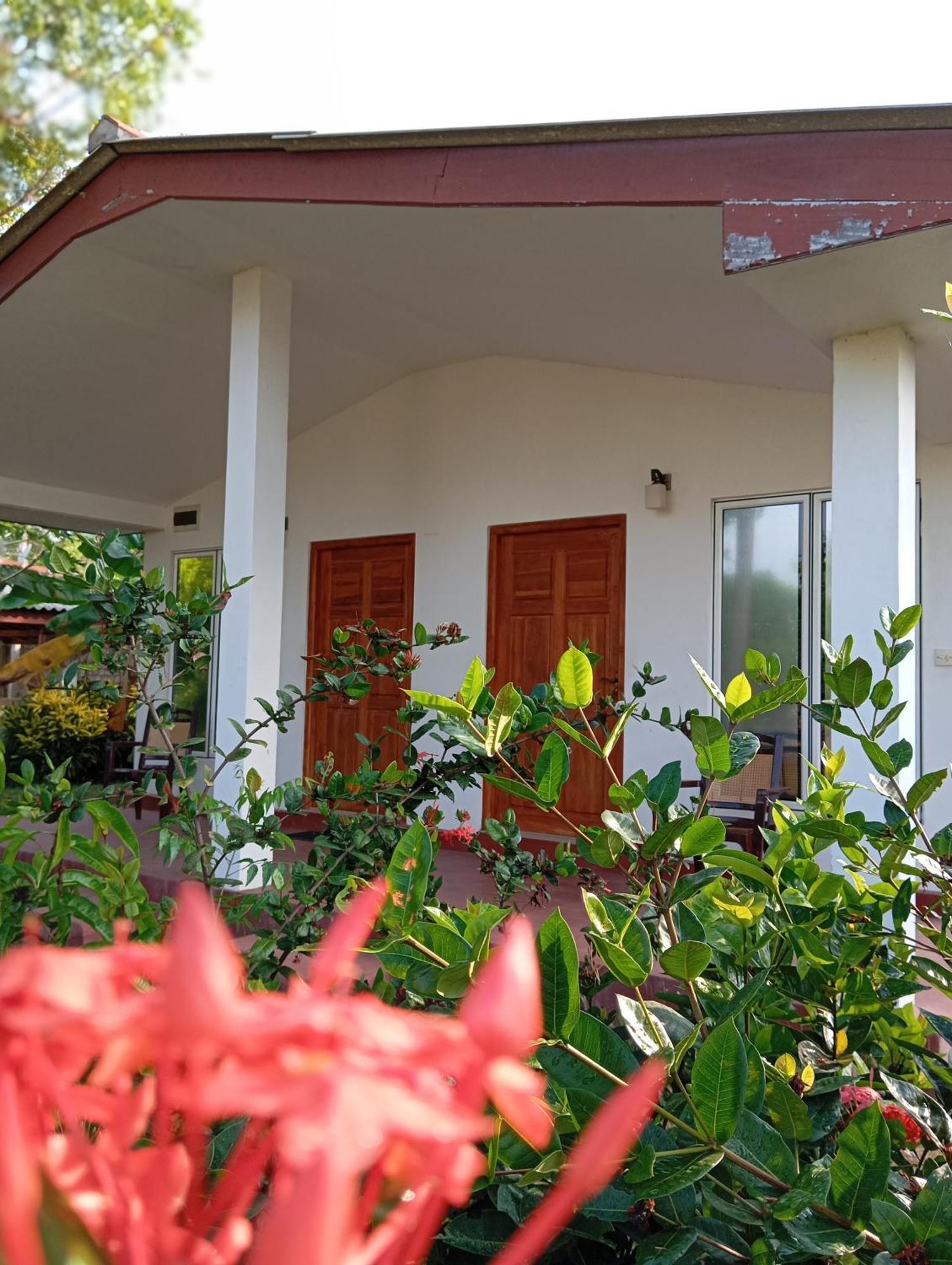 Jeys Place Nilaveli Exterior photo