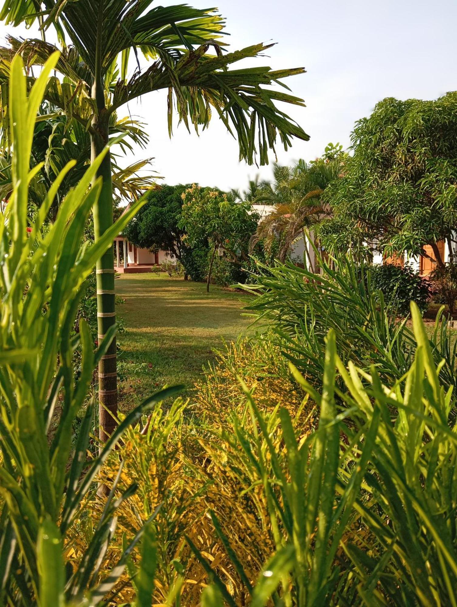 Jeys Place Nilaveli Exterior photo